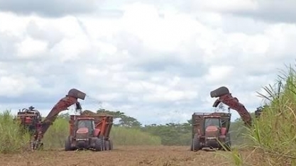 MT: Custo de produção da cana cai e preço do etanol tem redução