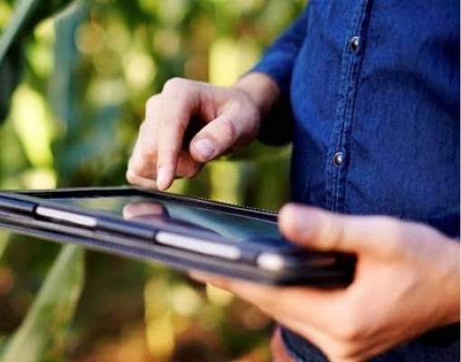 Fórum de Inovação Agropecuária busca integrar o campo ao mundo digital