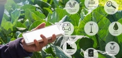 Agricultura 4.0 conciliará desenvolvimento com meio ambiente