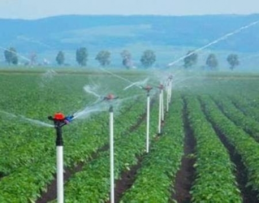 CCJ altera período para desconto na conta de energia do agricultor irrigante