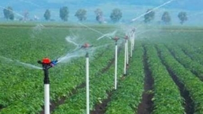 CCJ altera período para desconto na conta de energia do agricultor irrigante
