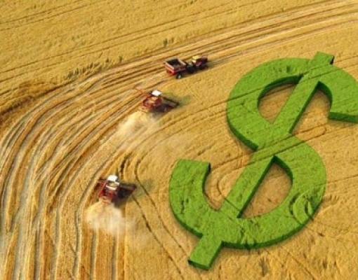 Valor da Produção Agropecuária de 2019 é de R$ 600,93 bilhões