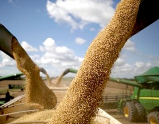 Conab estima colheita recorde de 238,9 milhões de toneladas de grãos 