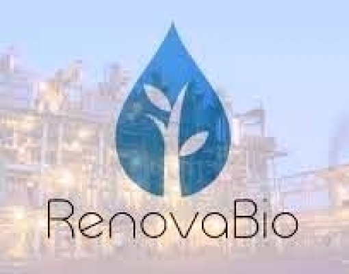 ANP publica metas de descarbonização para distribuidores no RenovaBio