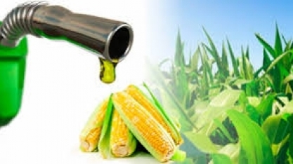 Goiás deve se tornar polo na produção do etanol de milho 
