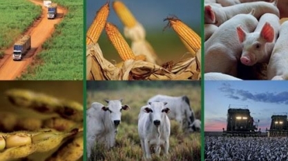 PIB do agronegócio cresce em março, mas acumula queda no 1º trimestre 