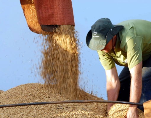 Agroconsult eleva previsão de exportação de soja do Brasil para 70,5 mi t 