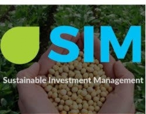 Fundo financia agricultor brasileiro em US$ 1 bi para evitar desmatamento
