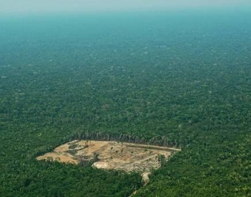 Desmatamento no Brasil dispara em julho e ameaça acordo comercial com UE