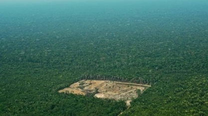 Desmatamento no Brasil dispara em julho e ameaça acordo comercial com UE