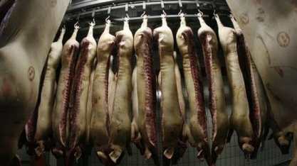 Filipinas para importação de carne da Alemanha por temores de peste suína