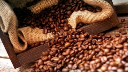 Em ano de exportação recorde de café, geada tem efeito abaixo do previsto 