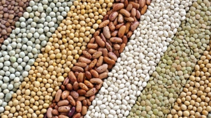 Grãos: IGC reduz previsão de safra global 2019/20 para 2,148 bilhões de t