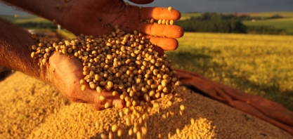 Agromensal Cepea: SOJA