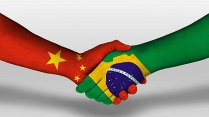 China abre portas para lácteos do Brasil e habilita 24 unidades