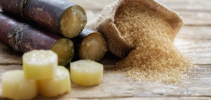 Brasil apresenta pedido de painel à OMC sobre subsídios da Índia ao açúcar 