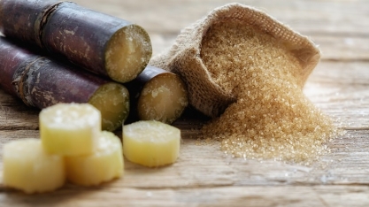 Brasil apresenta pedido de painel à OMC sobre subsídios da Índia ao açúcar 