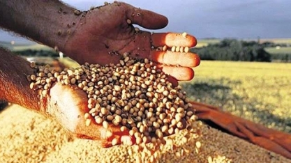 Produção de grãos do país crescerá 27% na próxima década, prevê ministério