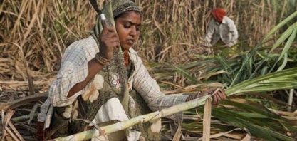 Índia manterá subsídios a exportações de açúcar apesar de queixa do Brasil 