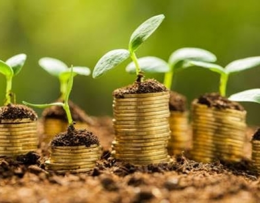  PIB do agronegócio registra queda de 0,05% no 1º quadrimestre do ano