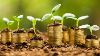  PIB do agronegócio registra queda de 0,05% no 1º quadrimestre do ano