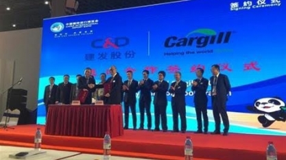 Cargill fecha fábricas de ração na China em meio a surtos de peste suína