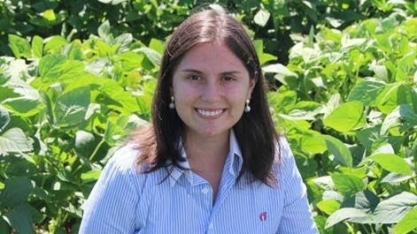 Safra de milho 2019 - O que os produtores podem esperar