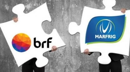 Alta da BRF reflete ceticismo sobre acordo com Marfrig