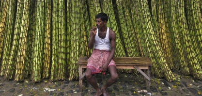 Açúcar/Índia:Marex Spectron estima que exportação deve recuar nesta safra 