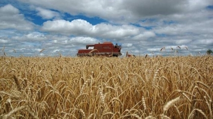 Agromensal Cepea: Trigo