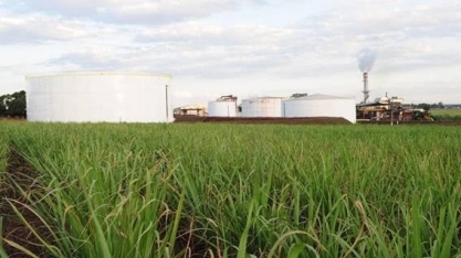 Oportunidades e riscos para a expansão contínua do biocombustível no Brasil
