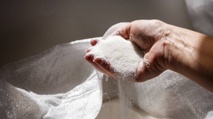 Argélia é a maior compradora de açúcar do Brasil 