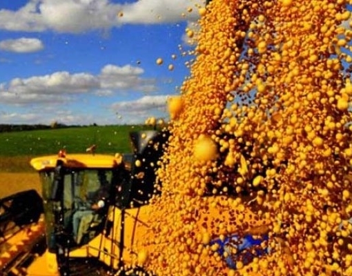 Com 56% Brasil se consolida como maior exportador mundial de soja 