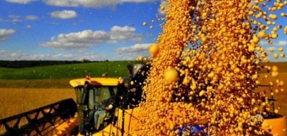 Com 56% Brasil se consolida como maior exportador mundial de soja 