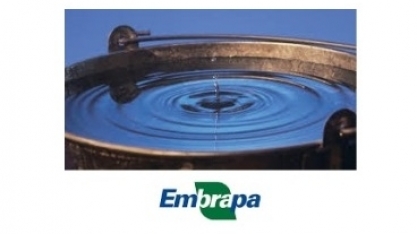 Governo procura substituto para presidente da Embrapa 