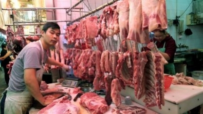 Peste Suína/Ásia:FAO eleva para 4,168 milhões número de animais eliminados