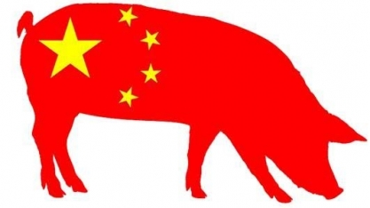 Produtores dos EUA visam lucrar com crise suína da China