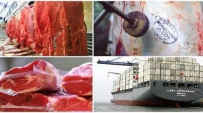 Carne bovina: Missão do Vietnã fará inspeção para reabrir exportação 