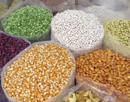 Safra de grãos brasileira deve aumentar 3,6%, prevê Conab 