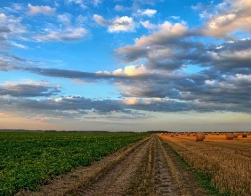 Veja a previsão do tempo para esta terça-feira em todo o Brasil