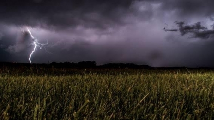Chuva agrícola alcança Sudeste e Centro-Oeste na próxima semana