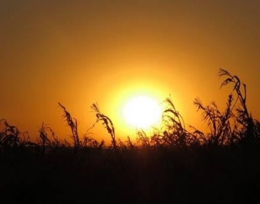 El Niño chega ao fim! Veja como isso impacta na sua lavoura