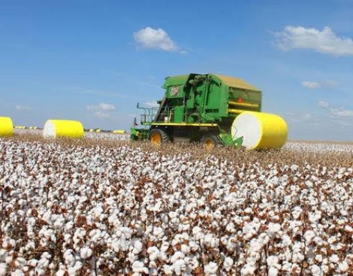 Com uso de tecnologia, agronegócio poderia evitar mais desmatamento