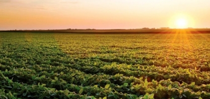 Centro-Oeste responderá por 28% do aumento da nova safra de soja do país