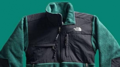 Amazônia em chamas:Ao menos 18 marcas,suspendem compra de couro brasileiro