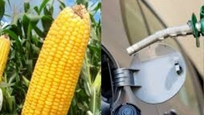Plano de subsídios para o etanol de milho