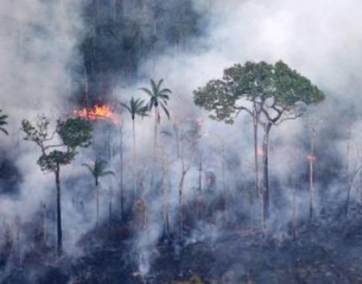 Agro reage com temor de retaliação diante de polêmica ambiental na Amazônia