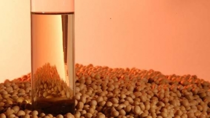 Mercado de US$ 400 bi, bioeconomia entra na pauta do Congresso 