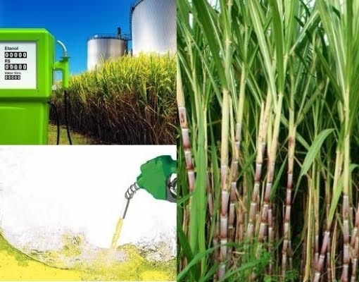 Etanol: Uso na Ásia pode elevar meio Brasil a demanda anual do produto