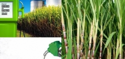 Etanol: Uso na Ásia pode elevar meio Brasil a demanda anual do produto